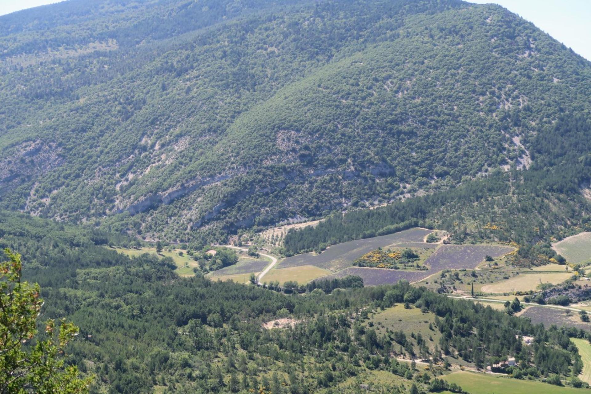 La Terrasse D'Olea, Au Coeur Du Village Buis-les-Baronnies Eksteriør billede